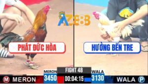 Trận 48 CPC3 9/4/2025 - Gà Anh Hưởng Kém 3 Chấm Đá Bự Không Ngừng Nghỉ