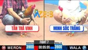 Trận 7 CPC3 29/4/2025 - Điều Anh Tân Trà Vinh Có Chân Mai Độ Cứu Chủ