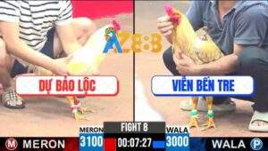 Trận 8 CPC3 29/4/2025 - Gà Úa Anh Dự Bảo Lộc Đâm Khét Sữa Chạy Mất Dép