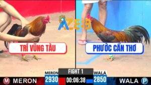 Trận 1 CPC3 13/5/2025 - Anh Trí Vũng Tàu Và Anh Phước Cần Thơ