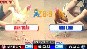 Trận 11 CPC2 2/5/2025 - Khét Anh Linh Gãy Cánh Gồng Đá Bướm Bại Liêt