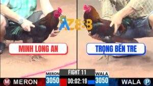 Trận 11 CPC3 13/5/2025 - Anh Minh Long An Và Anh Trọng Bến Tre