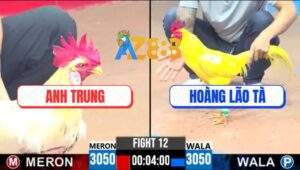 Trận 12 CPC3 30/5/2025 - Gà Vàng Anh Hoàng Lão Tà Gồng Cứu Chủ Quá Hay