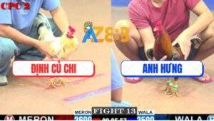 Trận 13 CPC2 21/5/2025 - Bướm Cọp Anh Định Củ Chi Đâm Như Máy