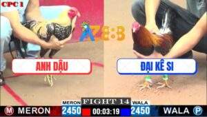 Trận 14 CPC1 26/5/2025 - Gà Chuối Anh Dậu Tiễn Điều Anh Đại Lên Đường