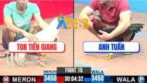 Trận 15 CPC3 31/5/2025 - Bướm Anh Ton Đâm Như Máy Điều Chạy Kêu Miệng