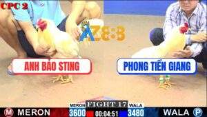 Trận 17 CPC2 23/5/2025 - Úa Cọp Bảo Sting Nhấc Chân Là Có Kết Quả