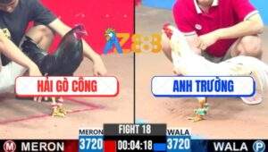 Trận 18 CPC3 31/5/2025 - Anh Hải Gò Công Hạ Anh Trường Nhanh Gọn