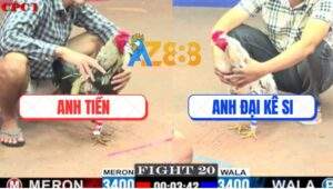 Trận 20 CPC1 27/5/2025 - Chuối Cọp Anh Tiền Đâm Bướm Anh Đại Quẹo Cổ