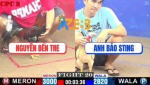 Trận 20 CPC2 9/5/2025 - Đúng Mẻ Hiệu Anh Bảo Sting Đâm Như Cái Máy