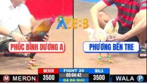 Trận 20 CPC3 7/5/2025 - Chú Phúc Bình Dương A Và Anh Phương Bến Tre