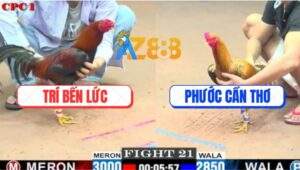 Trận 21 CPC1 27/5/2025 - Hai Con Cùng Bến Gà Anh Phước Có Chân Chốt Hạ