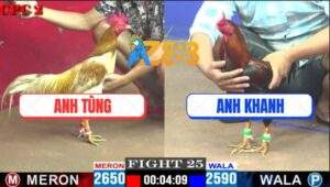 Trận 25 CPC2 14/5/2025 - Camelo Anh Tùng Đâm Cựa Như Máy Điện