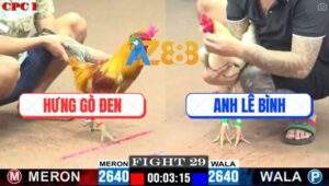 Trận 29 CPC1 26/5/2025 - Vàng Tàu Anh Hưng Gò Đen Đâm Không Kịp Tha Lơ