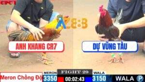 Trận 29 CPC1 22/5/2025 - Khét Mâm Trầu Của Anh Khang Lên 2 Thành Công