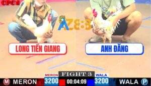 Trận 3 CPC1 13/5/2025 - Gà Úa Anh Long Bị Đá Ói Vẫn Gồng Phản Ăn 1