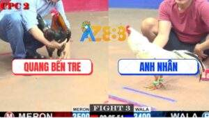 Trận 3 CPC2 21/5/2025 - Gà Bướm Anh Nhân Có Chân Xạo Lờ Phản Ăn 1