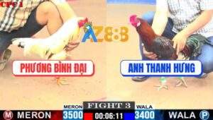 Trận 3 CPC1 22/5/2025 - Điều Anh Thanh Hưng Loại Giò Bướm Anh Phương