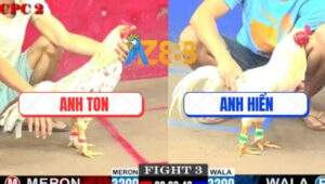 Trận 3 CPC2 28/5/2025 - Bướm Hiệu Anh Ton Nhấc Chân Là Có Kết Quả