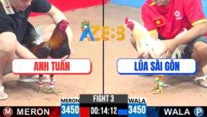 Trận 3 CPC3 18/5/2025 - Anh Lúa Sài Gòn Rớt Nài Với Anh Tuấn