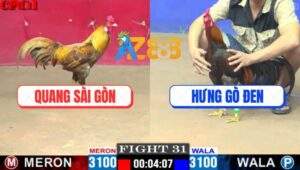 Trận 31 CPC1 19/5/2025 - Gà Khét Anh Quang Dí Bạc Ăn 5 Và Cái Kết