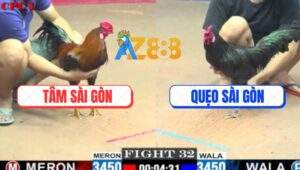 Trận 32 CPC1 27/5/2025 - Gà Que Anh Quẹo So So Tán Cây Ông Địa Lụm Kem