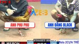 Trận 33 CPC2 23/5/2025 - Điều Anh Đăng Chấp Sâu Vẫn Hạ Gà Khét Phu Phu