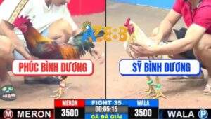 Trận 35 CPC3 31/5/2025 - Á Quân 1, Chú Phúc Bình Dương Và Anh Sỹ