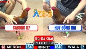 Trận 37 CPC1 26/5/2025 - SaBong 67 Và Anh Huy Đồng Nai