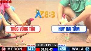 Trận 5 CPC1 19/5/2025 - Gà Úa Anh Huy Hai Tâm Đá Gà Xám Quẹo Cổ