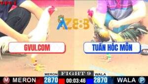 Trận 9 CPC1 22/5/2025 - Úa Thái Mỹ Của GVUI.COM Đâm Chuối Bông Xì Cơm