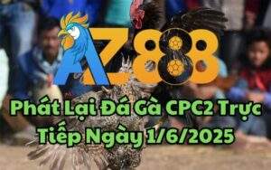 Phát Lại Đá Gà CPC2 Trực Tiếp Ngày 01/06/2025