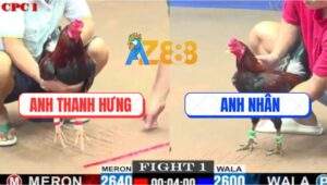 Trận 1 CPC1 5/6/2025 - Điều Cọp Anh Thanh Hưng Bươi Chà Như Máy Chém