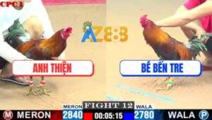 Trận 12 CPC1 7/6/2025 - Điều Cọp Anh Bé Khều Nhẹ Mấy Chân Có Kem