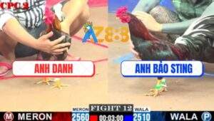 Trận 12 CPC2 1/6/2025 - Điều Đuôi Lao Bảo Sting Đá Chân Nào Cũng Đâm