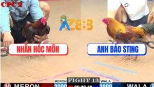 Trận 13 CPC2 6/6/2025 - Anh Nhân Hóc Môn Và Anh Bảo Sting