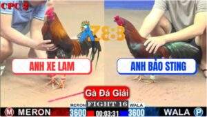 Trận 16 CPC2 1/6/2025 - Anh Bảo Sting Hạ Anh Xe Lam Lấy 3 Điểm Đầu Tay