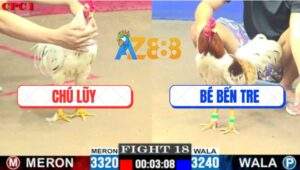 Trận 18 CPC1 7/6/2025 - Chú Lũy Và Anh Bé Bến Tre Bất Phân Thắng Bại