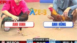 Trận 18 CPC2 6/6/2025 - Gà Khét Anh Hùng Đâm Đối Thủ Không Kịp Tha Lơ