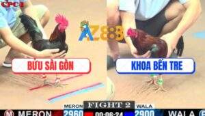 Trận 2 CPC1 5/6/2025 - Anh Bửu Sài Gòn Hạ Anh Khoa Bến Tre Dễ Dàng