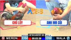 Trận 2 CPC1 7/6/2025 - Mẻ Hiệu Tính Ga King Đâm Cựa Như Phát Xít