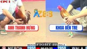 Trận 22 CPC1 5/6/2025 - Khét Anh Thanh Hưng Đâm Lọt Camelo Chết Từ Từ