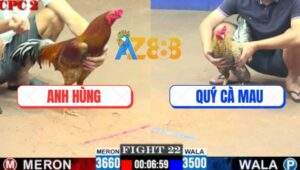 Trận 22 CPC2 8/6/2025 - Anh Lý Bắt Gà Xin Thua Sau Đòn Chí Mạng