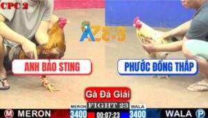 Trận 23 CPC2 1/6/2025 - Anh Bảo Sting Và Anh Phước Không Hẹn Mà Gặp