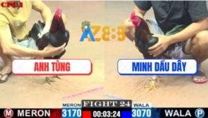 Trận 24 CPC1 3/6/2025 - Mẻ Xanh Hiệu IDol Lòn Gà Đá Que Tai Biến