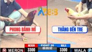 Trận 26 CPC3 11/5/2025 - Bướm Hiệu Anh Thắng Kết Liễu Đối Thủ Gọn Gàng