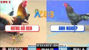 Trận 28 CPC2 9/6/2025 - Điều Cọp Anh Hưng Đá Xanh Que Thành Xanh Mộ