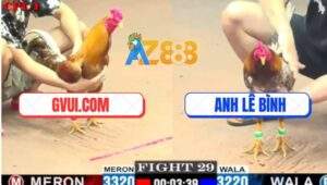 Trận 29 CPC1 5/6/2025 - Bổn Gà Vàng GVUI.COM Quá Mai Độ