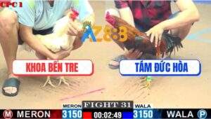 Trận 31 CPC1 7/6/2025 - Bướm Anh Khoa Bến Tre Đá Được Mấy Chân Bay Bồ