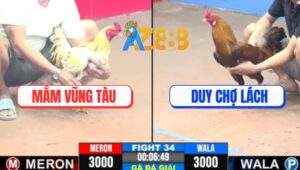 Trận 34 CPC3 11/5/2025 - Ngôi Vương Vô Địch Gọi Tên Anh Mắm Vũng Tàu